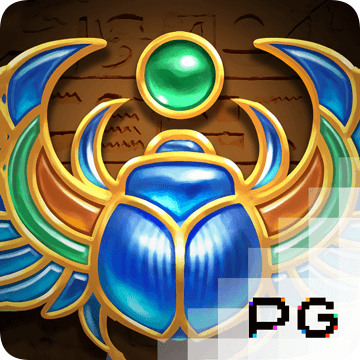 db体育app